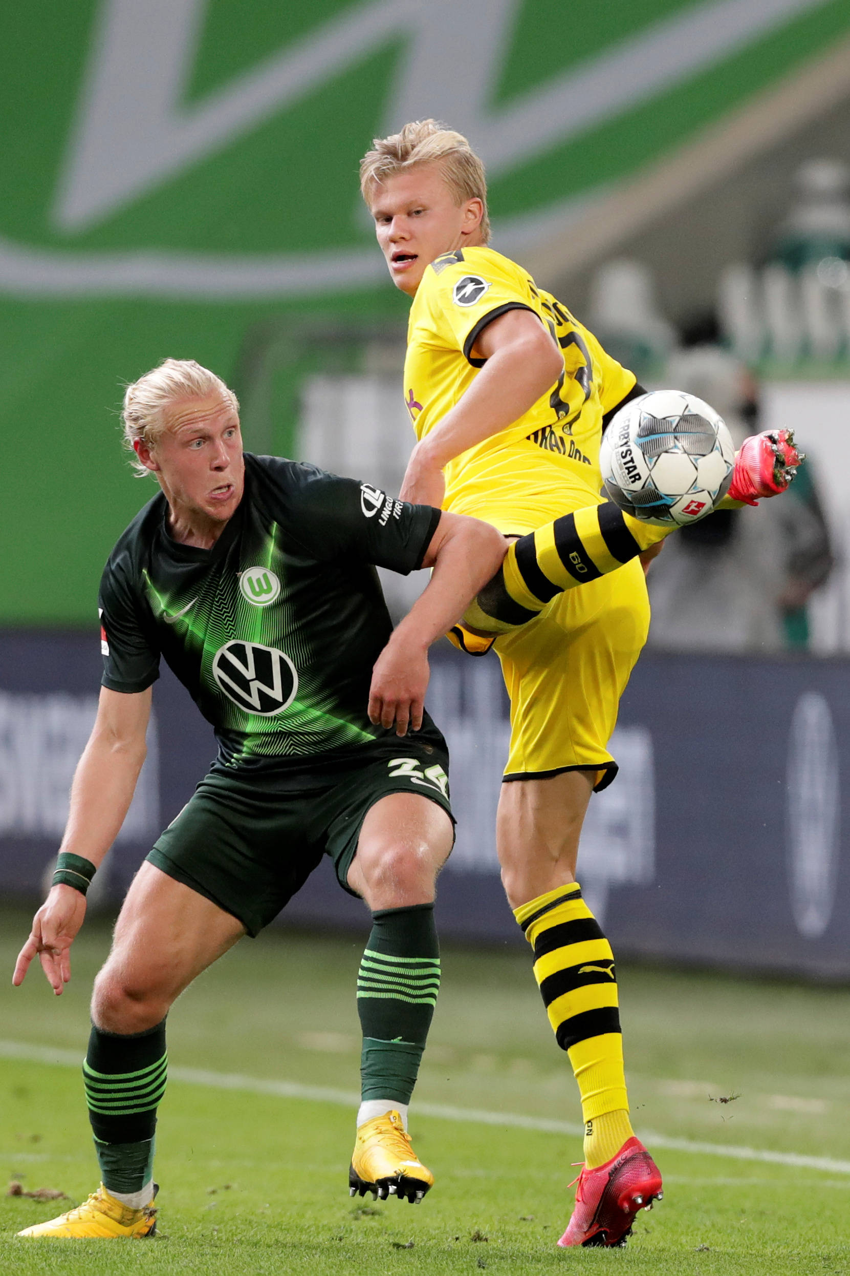 意志闻名于 意志闻名于